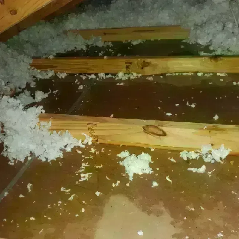 Attic Water Damage in Taylorville, IL