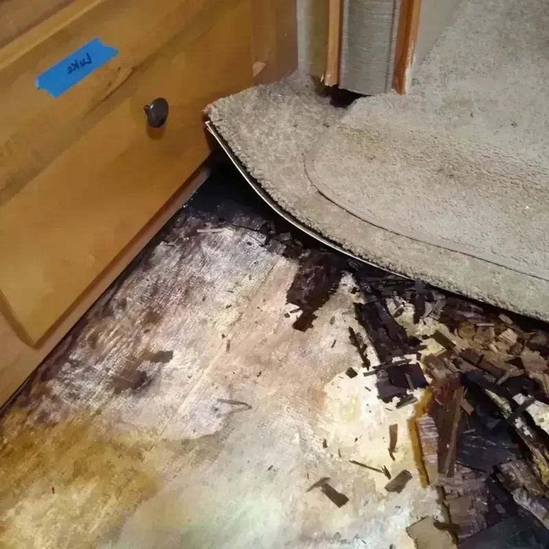 Wood Floor Water Damage in Taylorville, IL